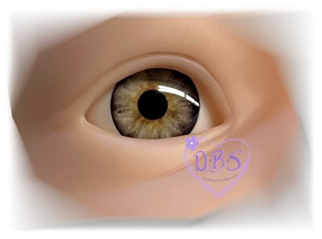 Pabol Lifelike Eyes - 4 Sizes Available
