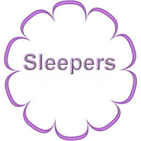 Sleepers